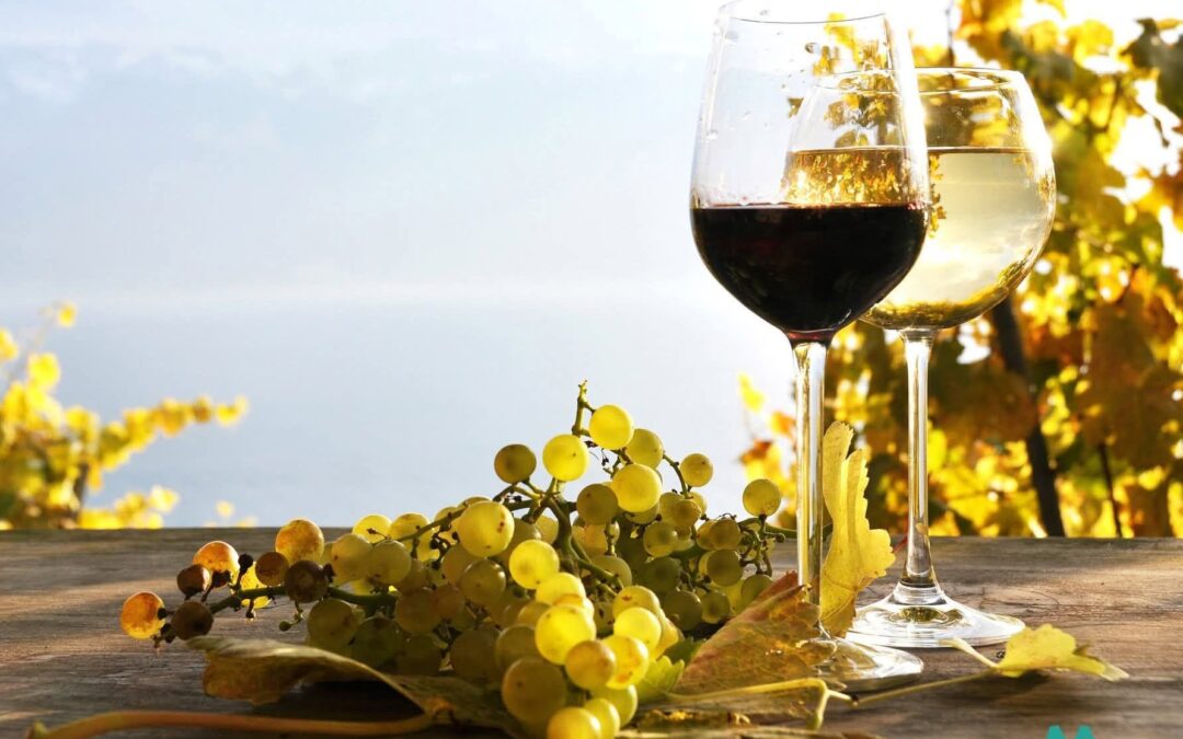 Concurso Oficial de vinos Agrocanarias 2026